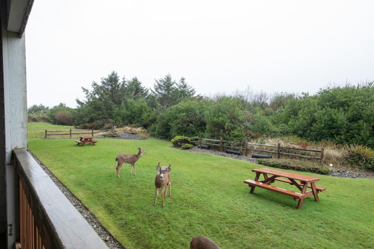 Aurora At Nautilus - Pet Friendly Oceanfront Condo Ocean Shores Zewnętrze zdjęcie