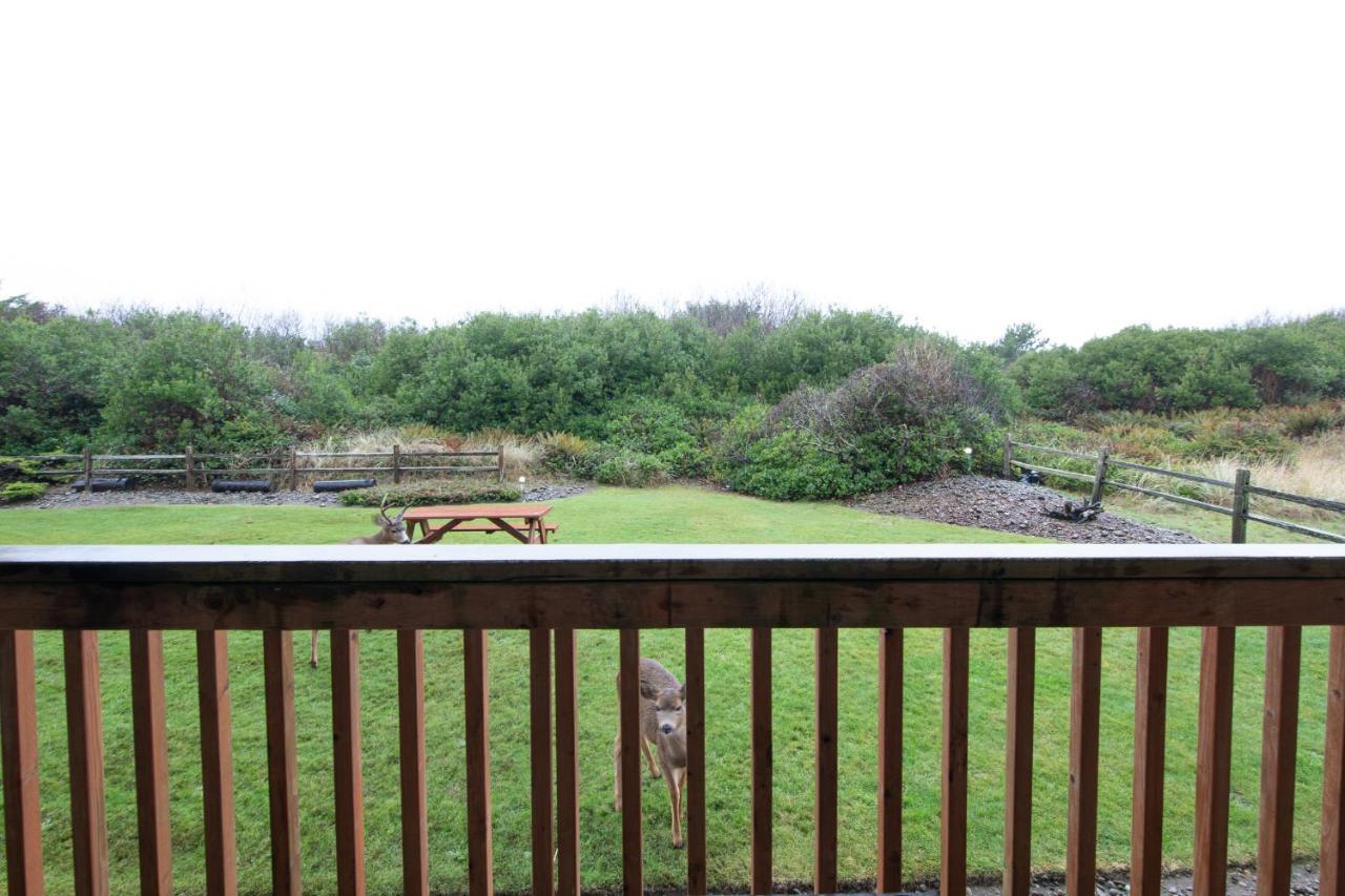 Aurora At Nautilus - Pet Friendly Oceanfront Condo Ocean Shores Zewnętrze zdjęcie