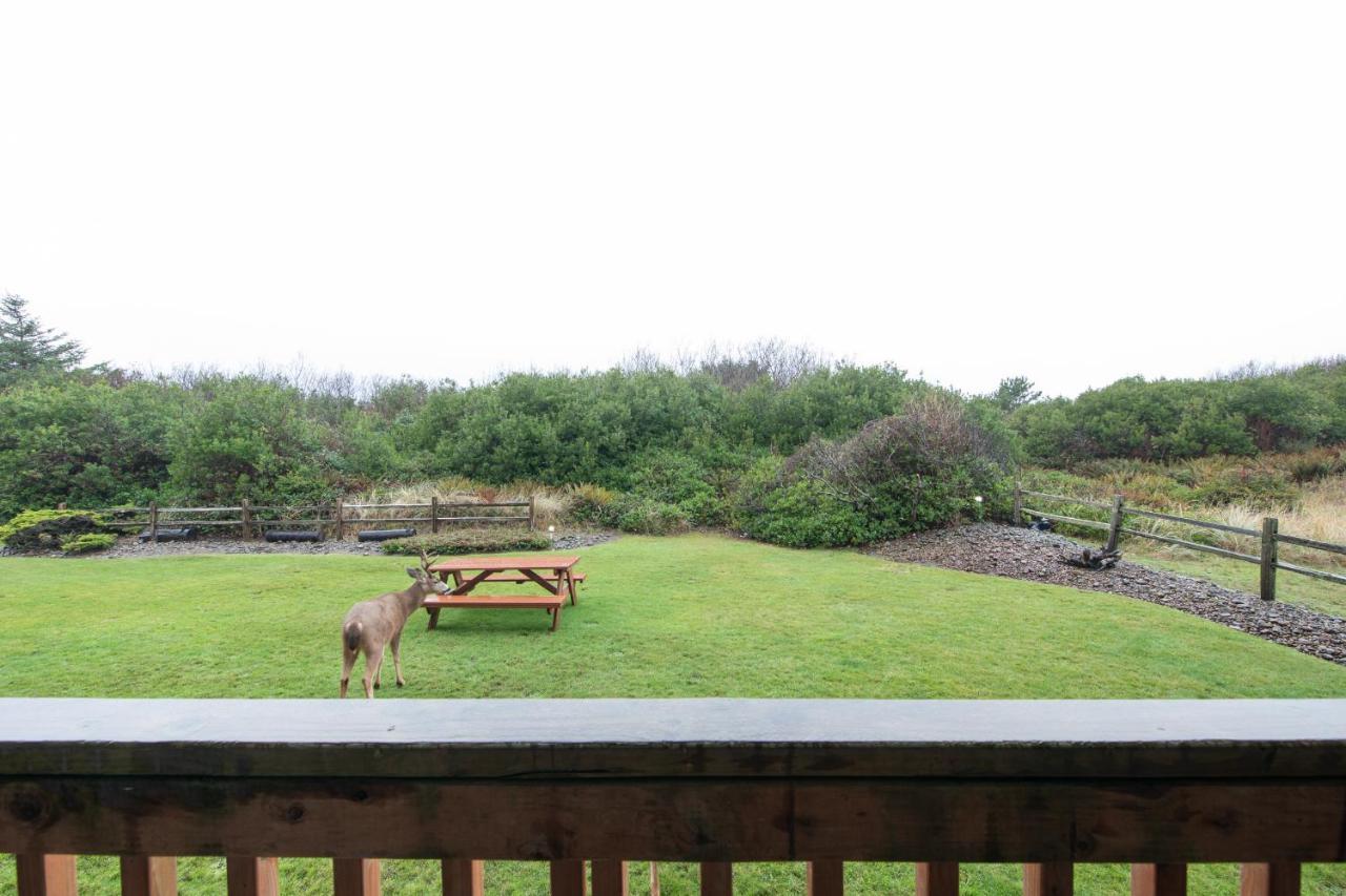Aurora At Nautilus - Pet Friendly Oceanfront Condo Ocean Shores Zewnętrze zdjęcie
